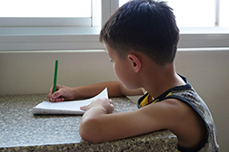 Homework & Practice