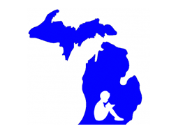 S102 – The Michigan Standards
